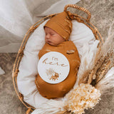Roar Swaddle Sack & Beanie Set