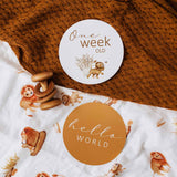 Lion Reversible Milestone Cards