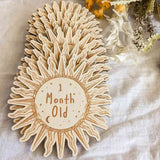Sun Wooden Monthly Milestone Plaques