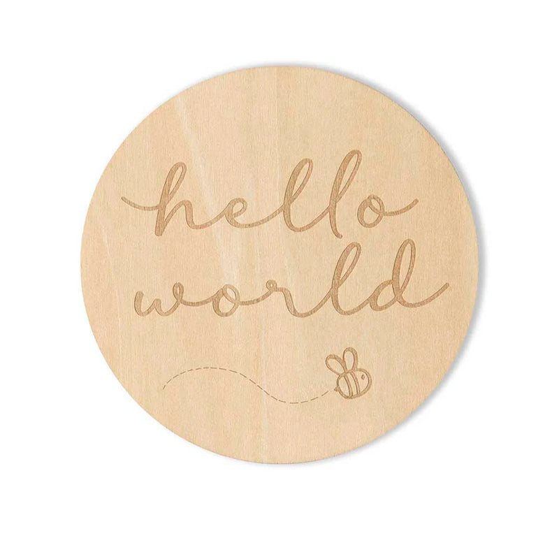 Wooden Monthly Milestone Plaques - Busy Bee