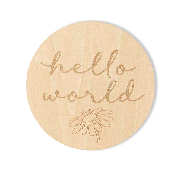 Wooden Monthly Milestone Plaques - Ladybug